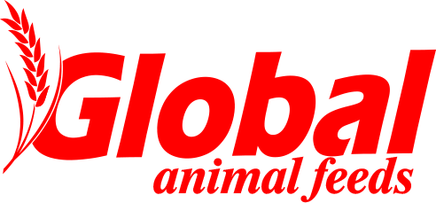 Global Animal Feeds home